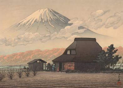 Mountain Fuji Narusawa