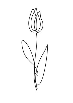 Tulip line art