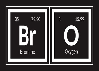 Elements of Bro