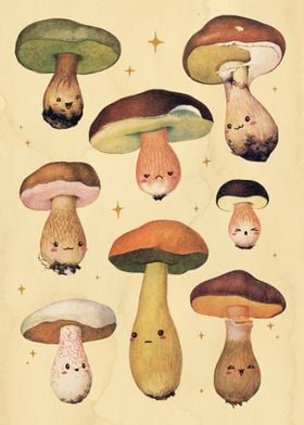 Mushrooms Fantasy