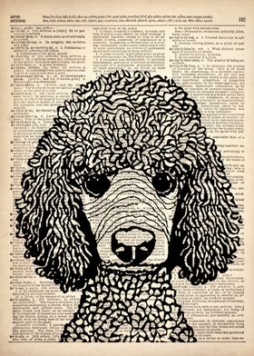 Poodle on dictionary page