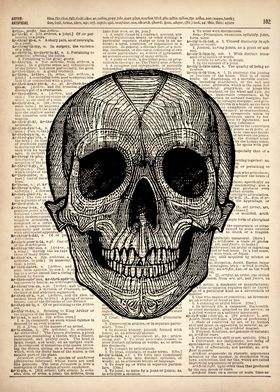 Human skull line art
