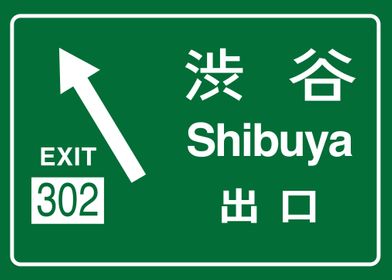 Tokyo Shibuya Exit 302