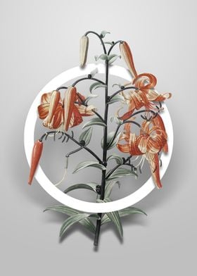 Vintage Tiger Lily Flower