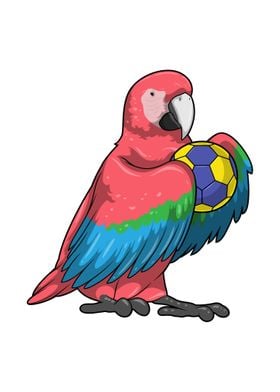 Parrot Handball Sports