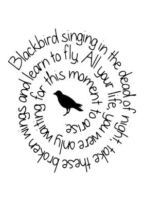 Blackbird Singing in dead