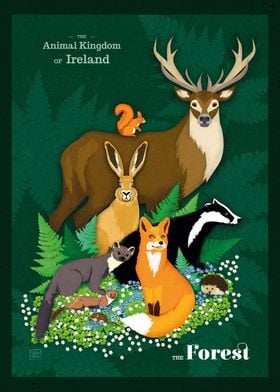 Animal Kingdom of Ireland