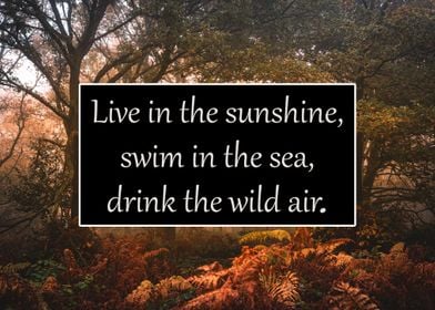 Live in the Sunshine Quote