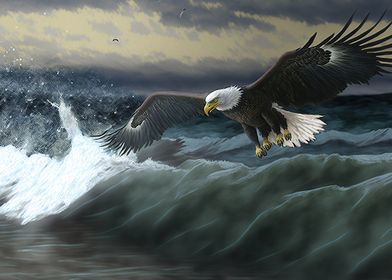 Eagle flying sea