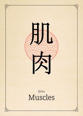 Muscles China Style