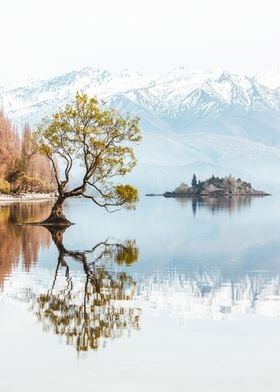 Lake Nature Landscape