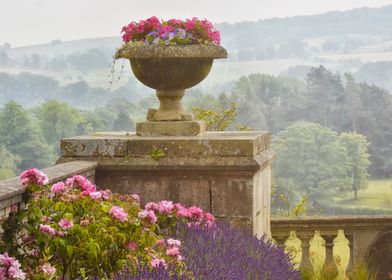 English rose garden