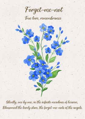 Forget me not Flower