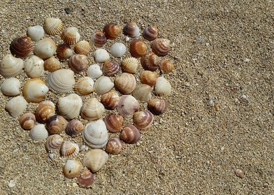 Heart of Shells