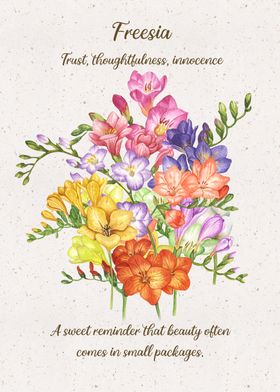 Freesia Flower Language