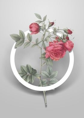 Turnip Roses Flower Circle