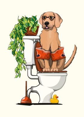 Labrador sitting on Toilet
