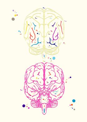 Brain Art 