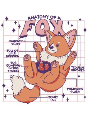 Cute Fox Anatomy