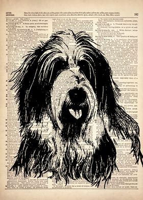 Bearded Collie DOG art