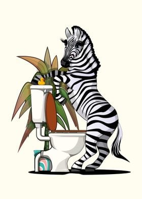Zebra using the Toilet
