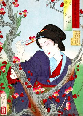 Tsukioka Yoshitoshi Ukiyoe-preview-2