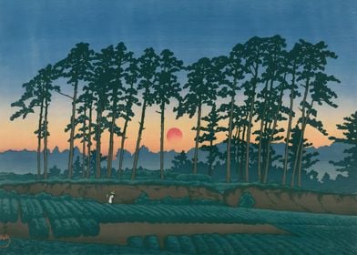 Ichinokura Ikegami Sunset