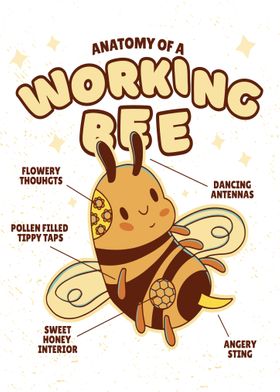 Working Bee Anatomy