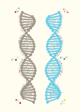 Dna Double Helix