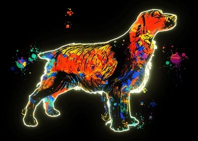 Neon cocker spaniel