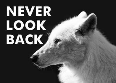 Never Look Back