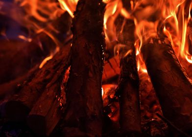 Campfire burning wood