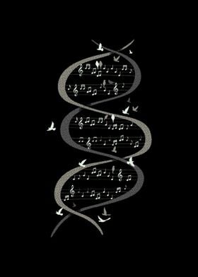 Musical DNA Birds 