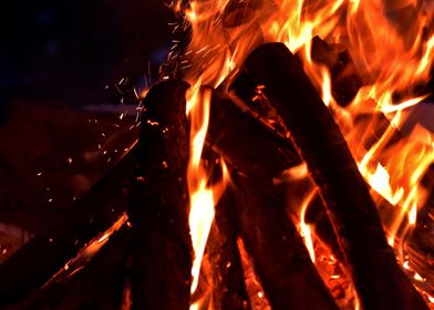 Campfire burning wood