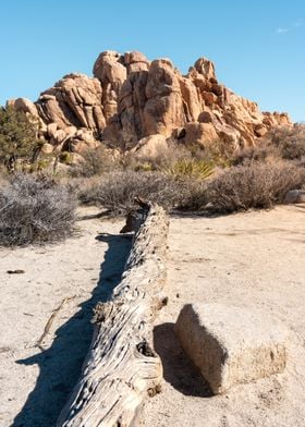 Joshua Tree National Park