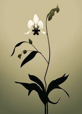 Asian Orchids Minimal Art