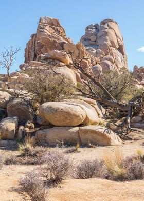 Joshua Tree National Park