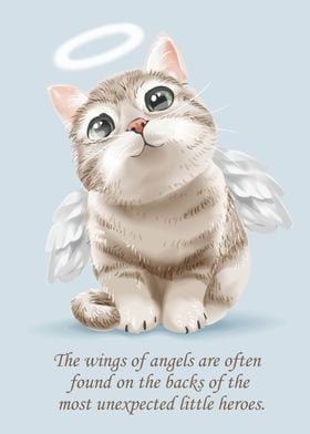 Little Angel cat