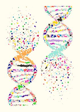 DNA molecule