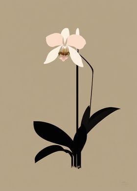 Asian Orchids Minimal Art