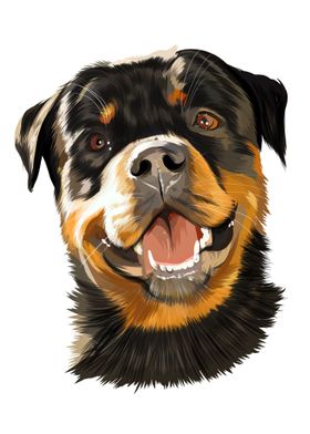 Rottweiler germany dog