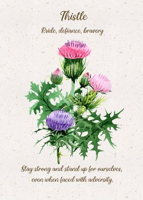 Thistle Flower Language