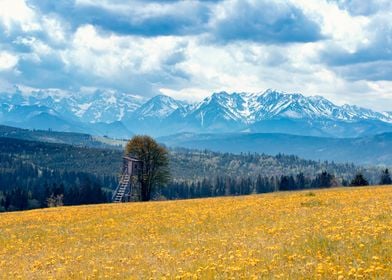 Mountain landscape, Poland