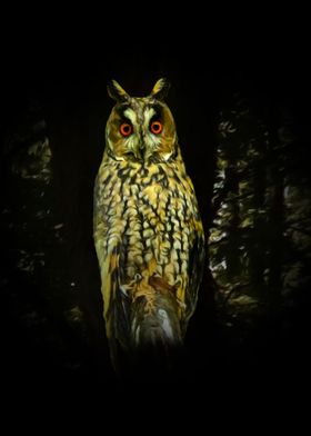 Owl