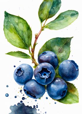 Blueberry Watercolor