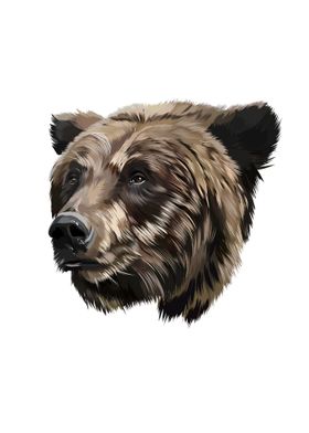 Bear head portrait