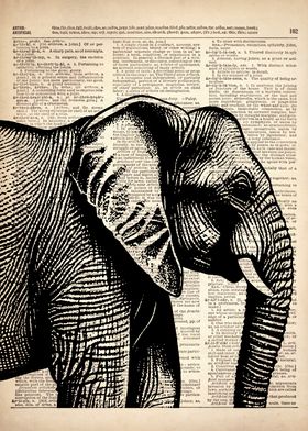 Elephant art on dictionary