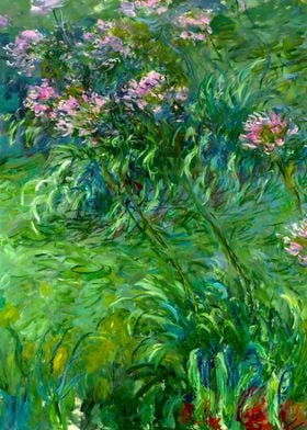 Claude Monet Agapanthus