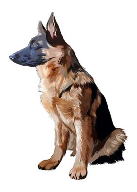 Germany shepherd dog