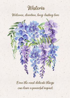 Wisteria Flower Language